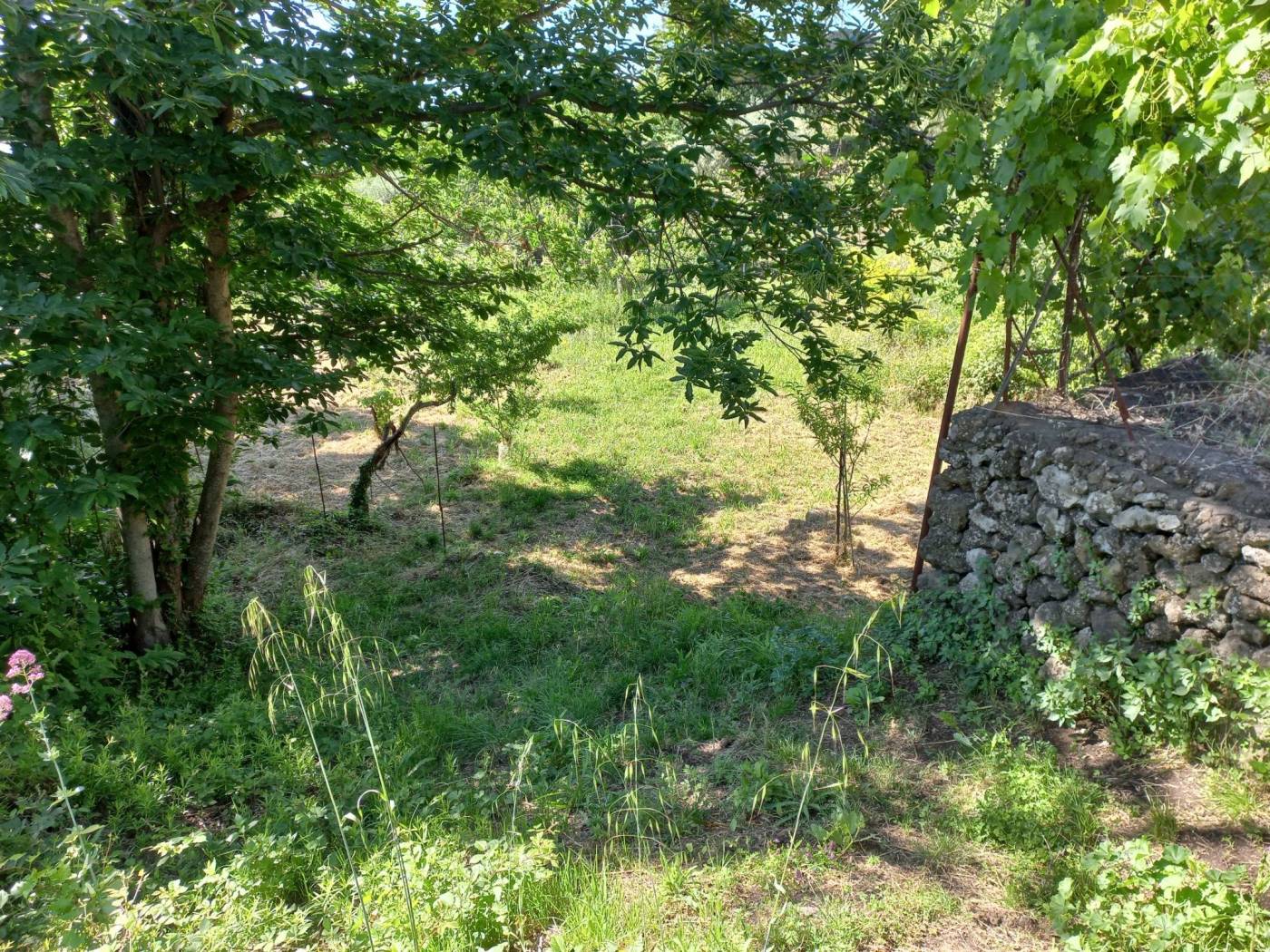 Terreno Terreno