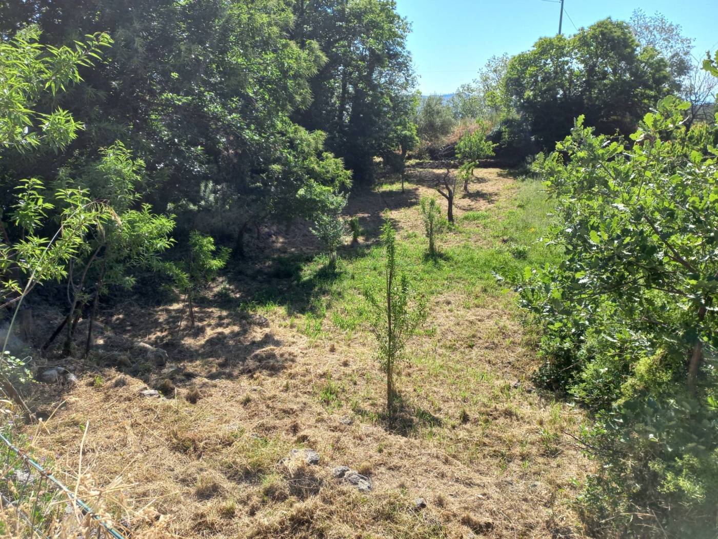 Terreno Terreno