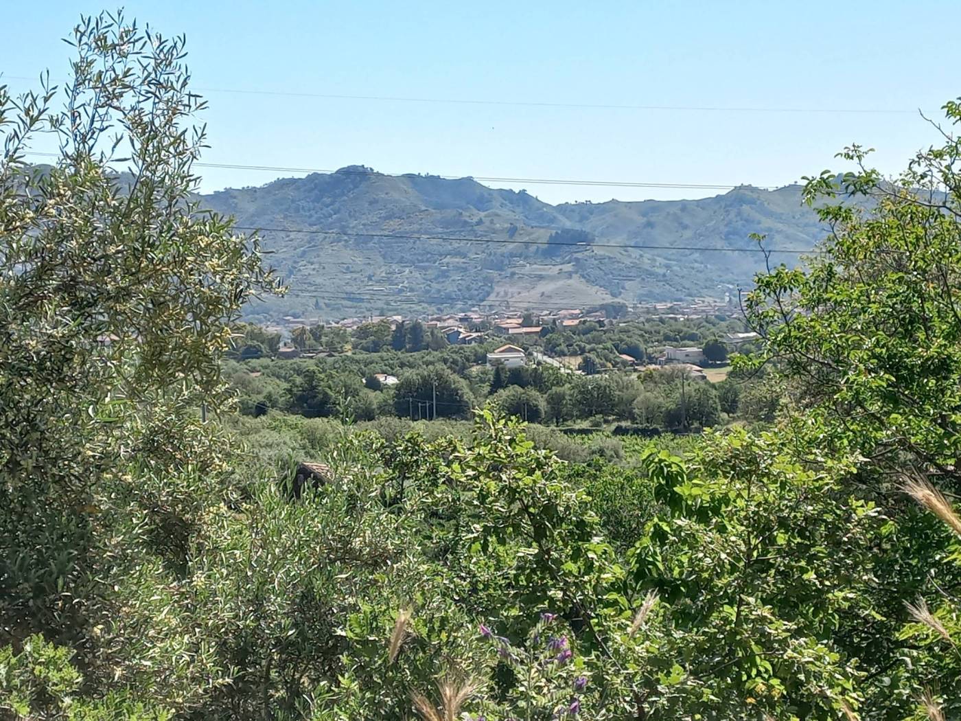 Terreno Terreno