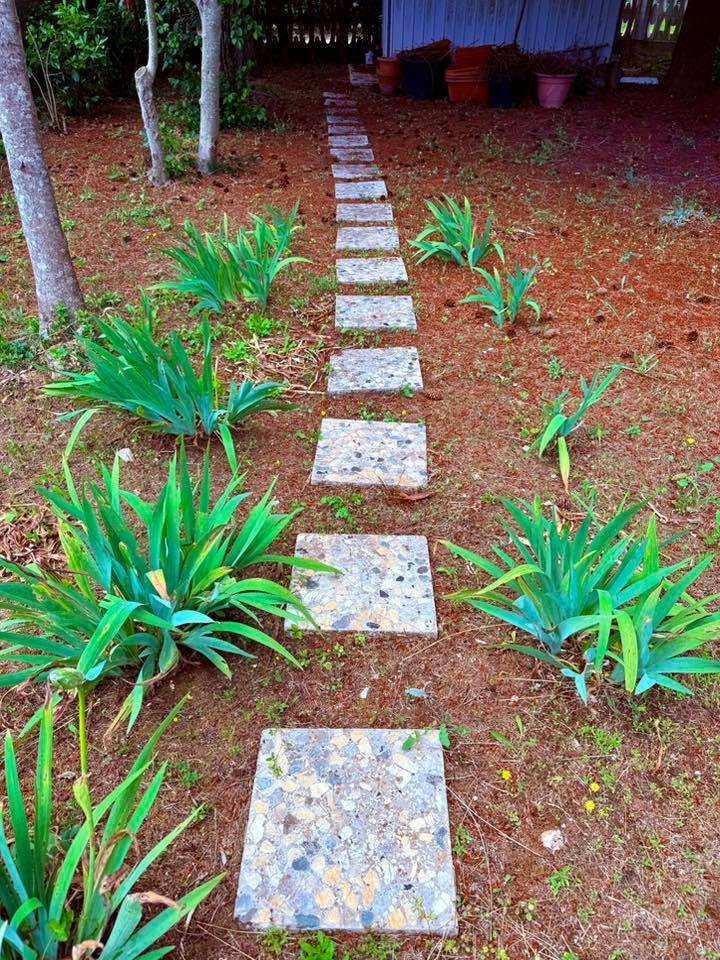 Giardino