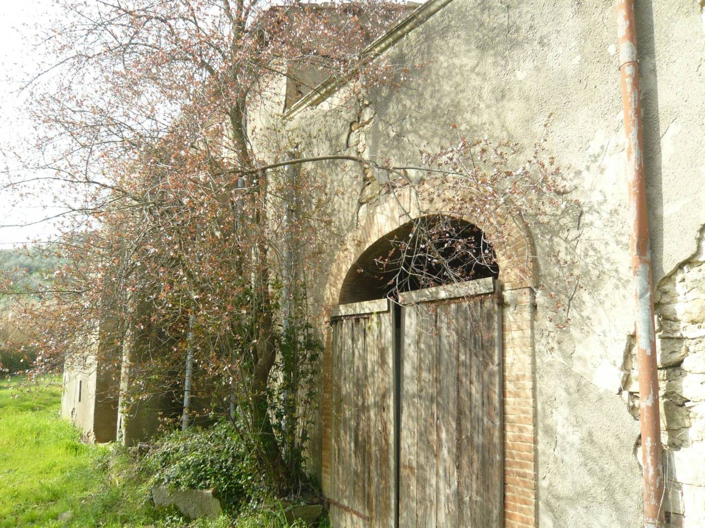 Terreno