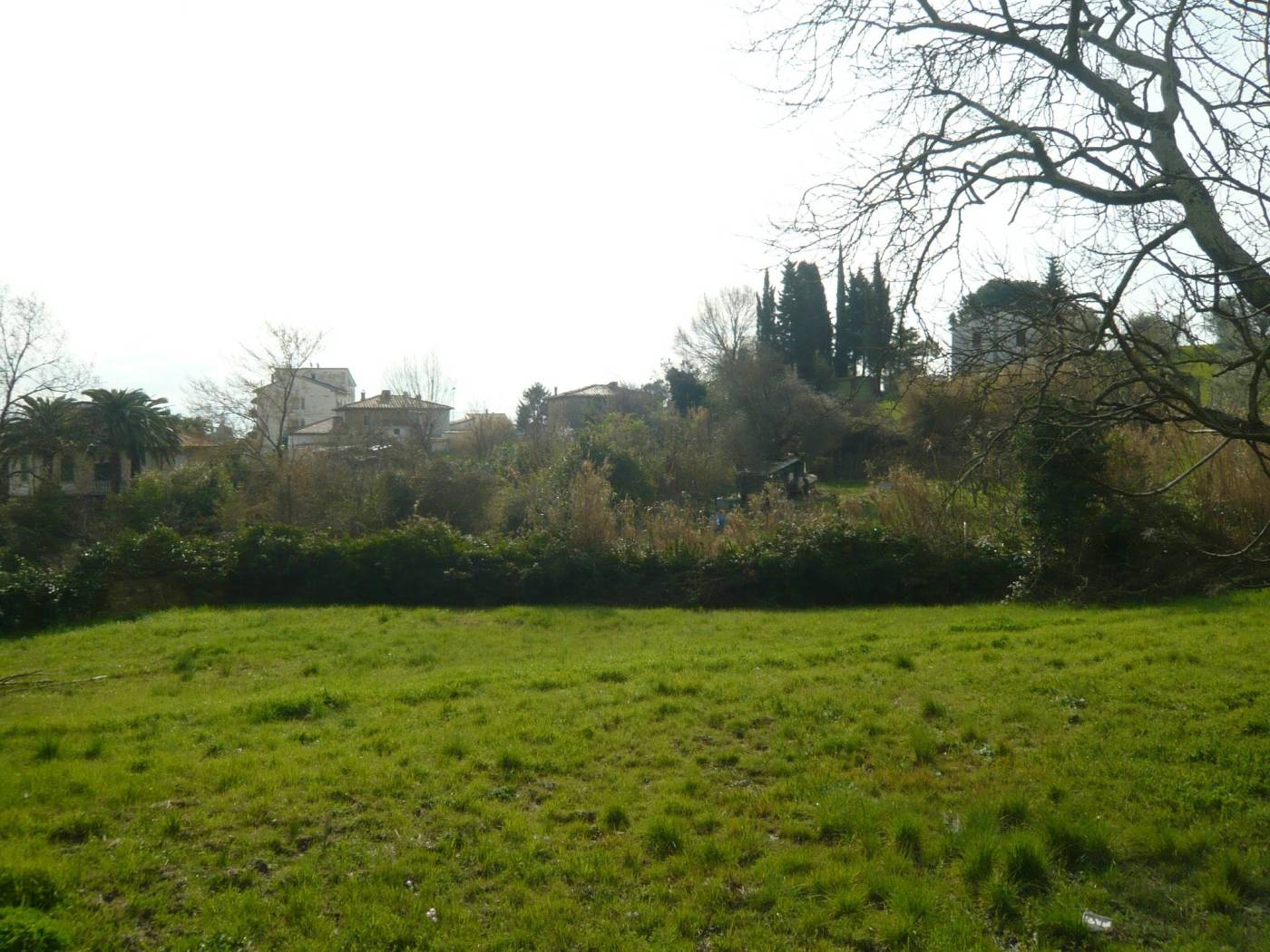 Terreno