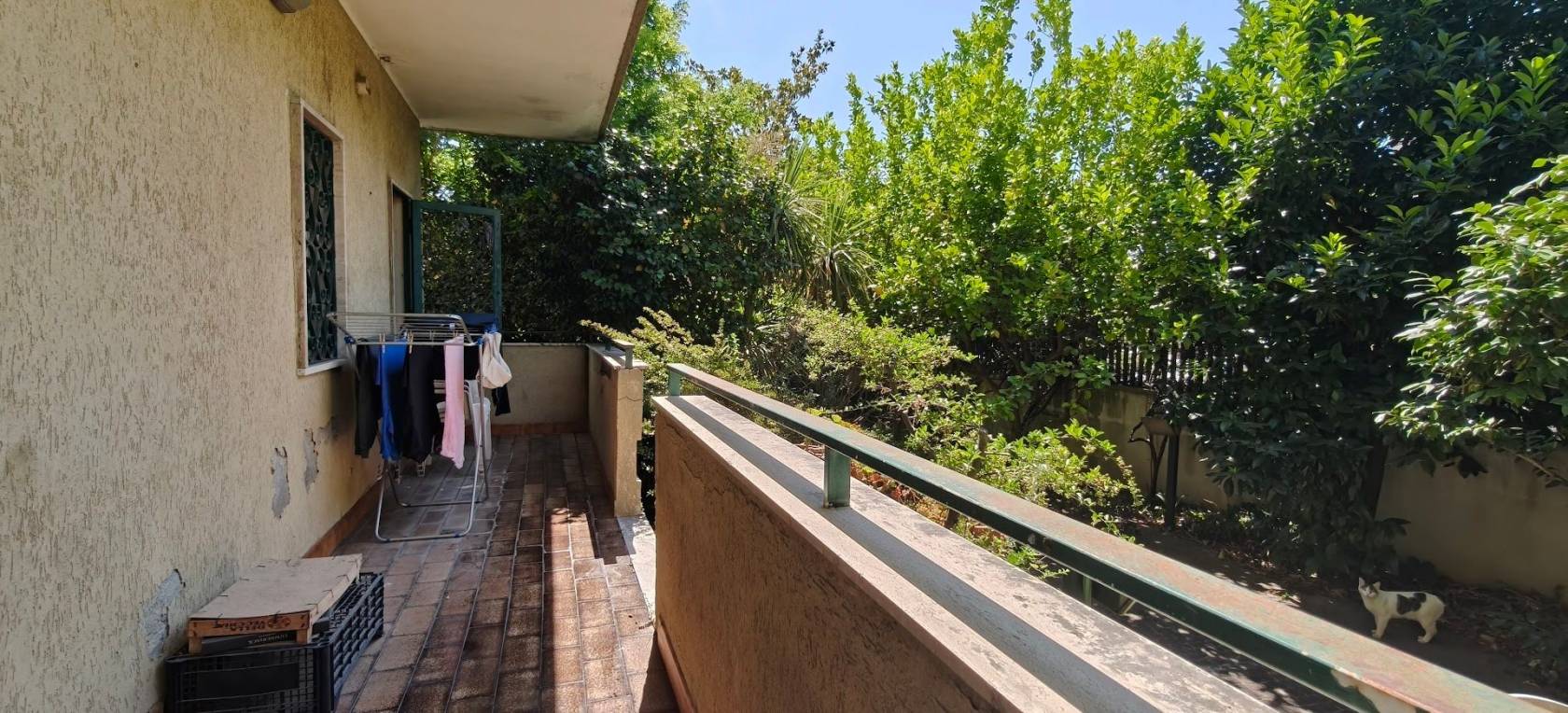 Terrazzo