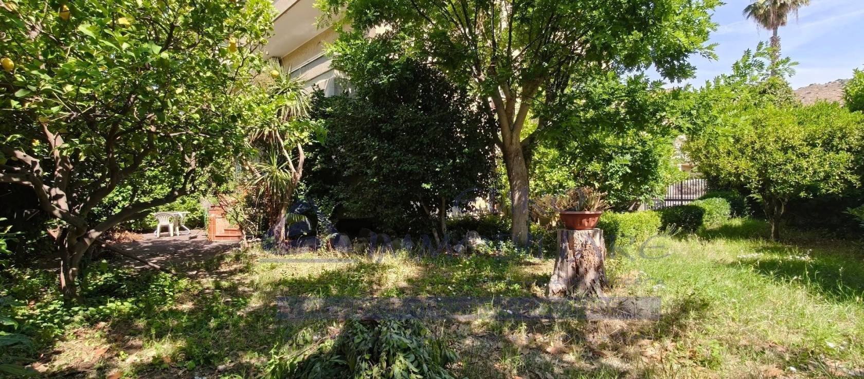 Giardino