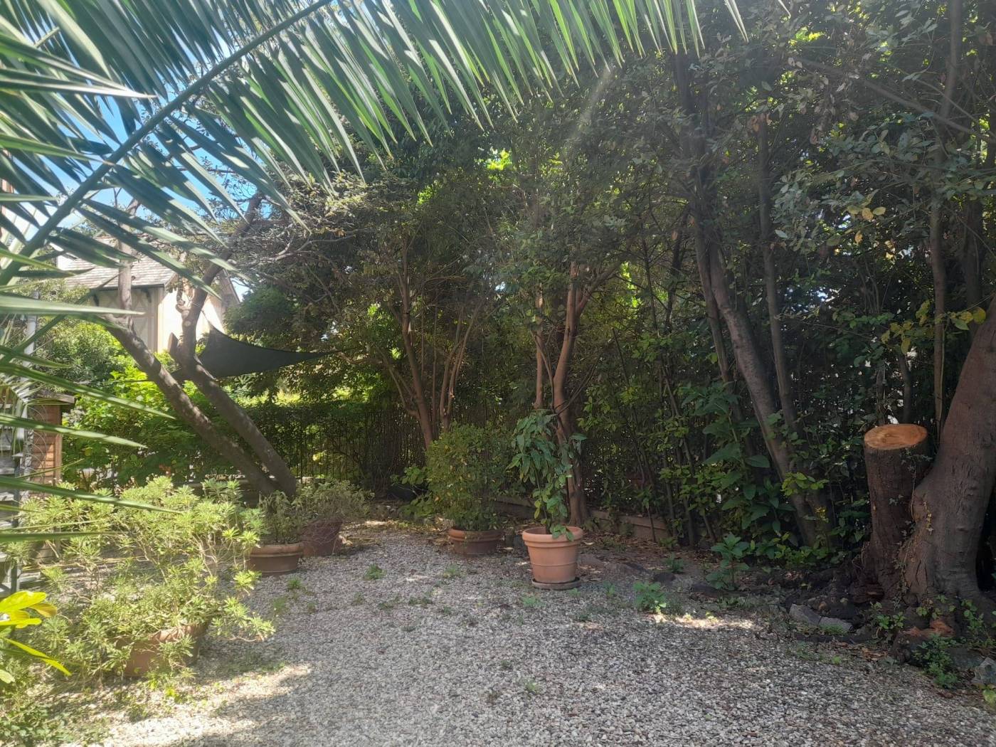 Giardino