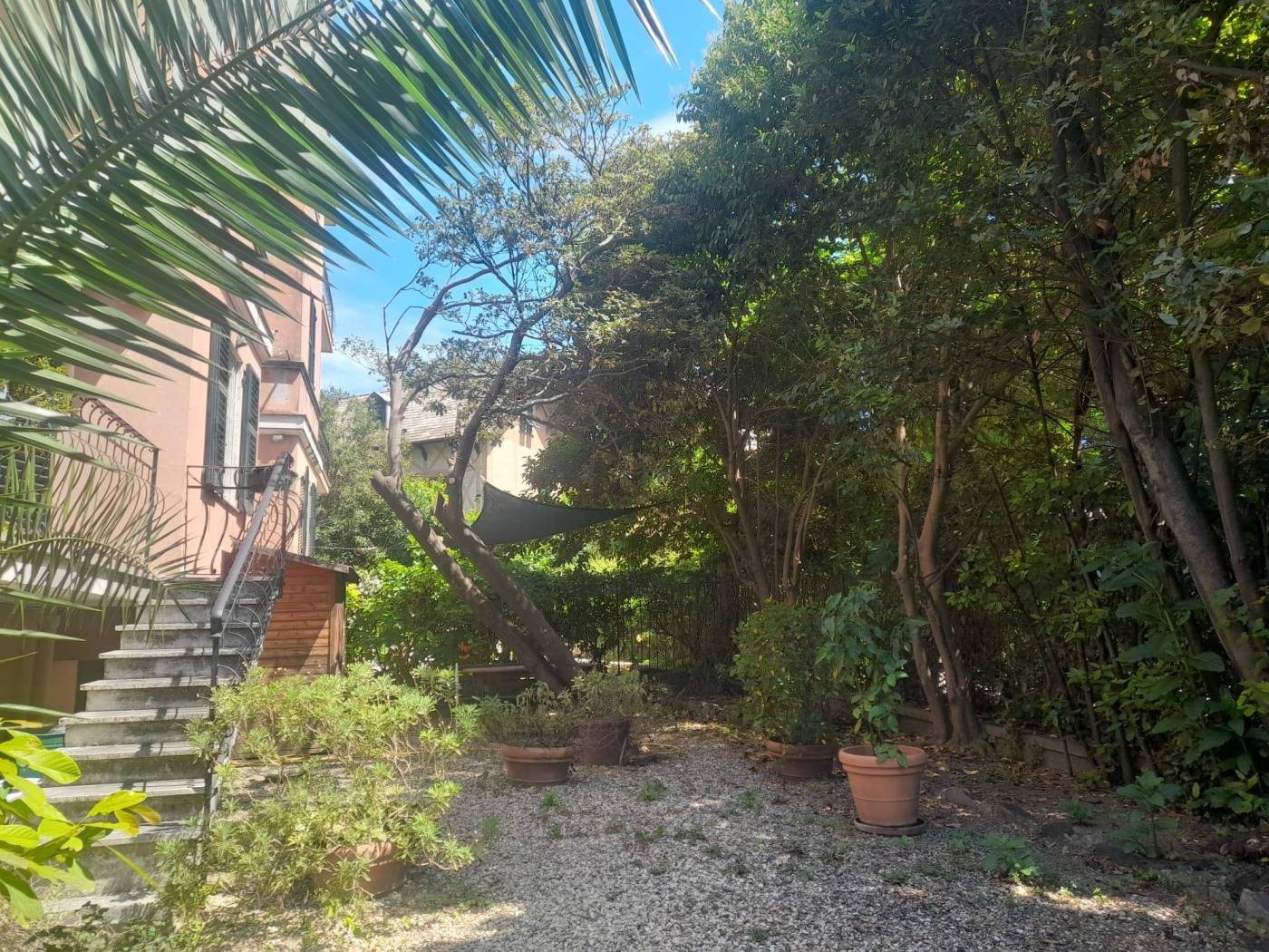 Giardino
