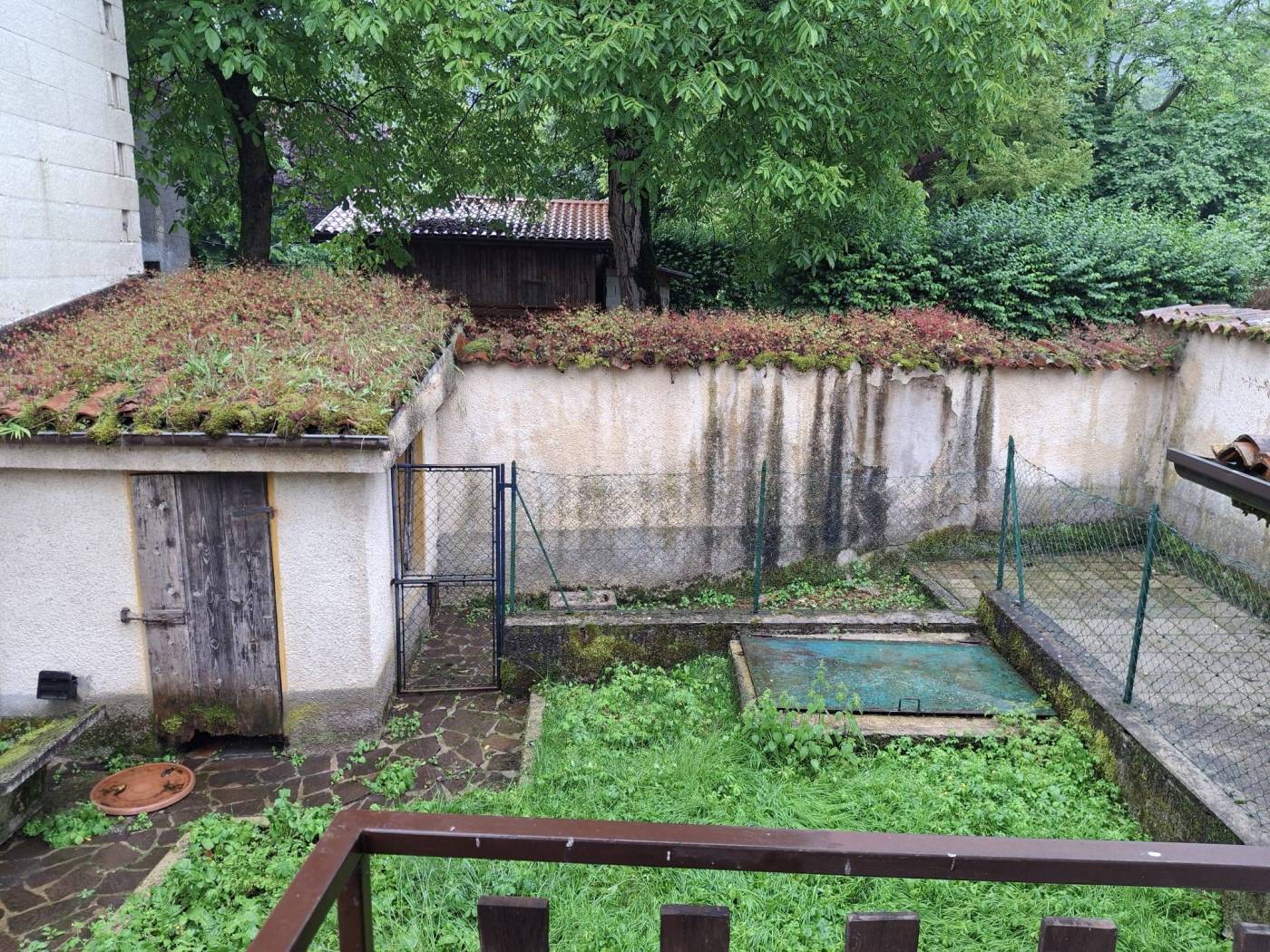 Giardino