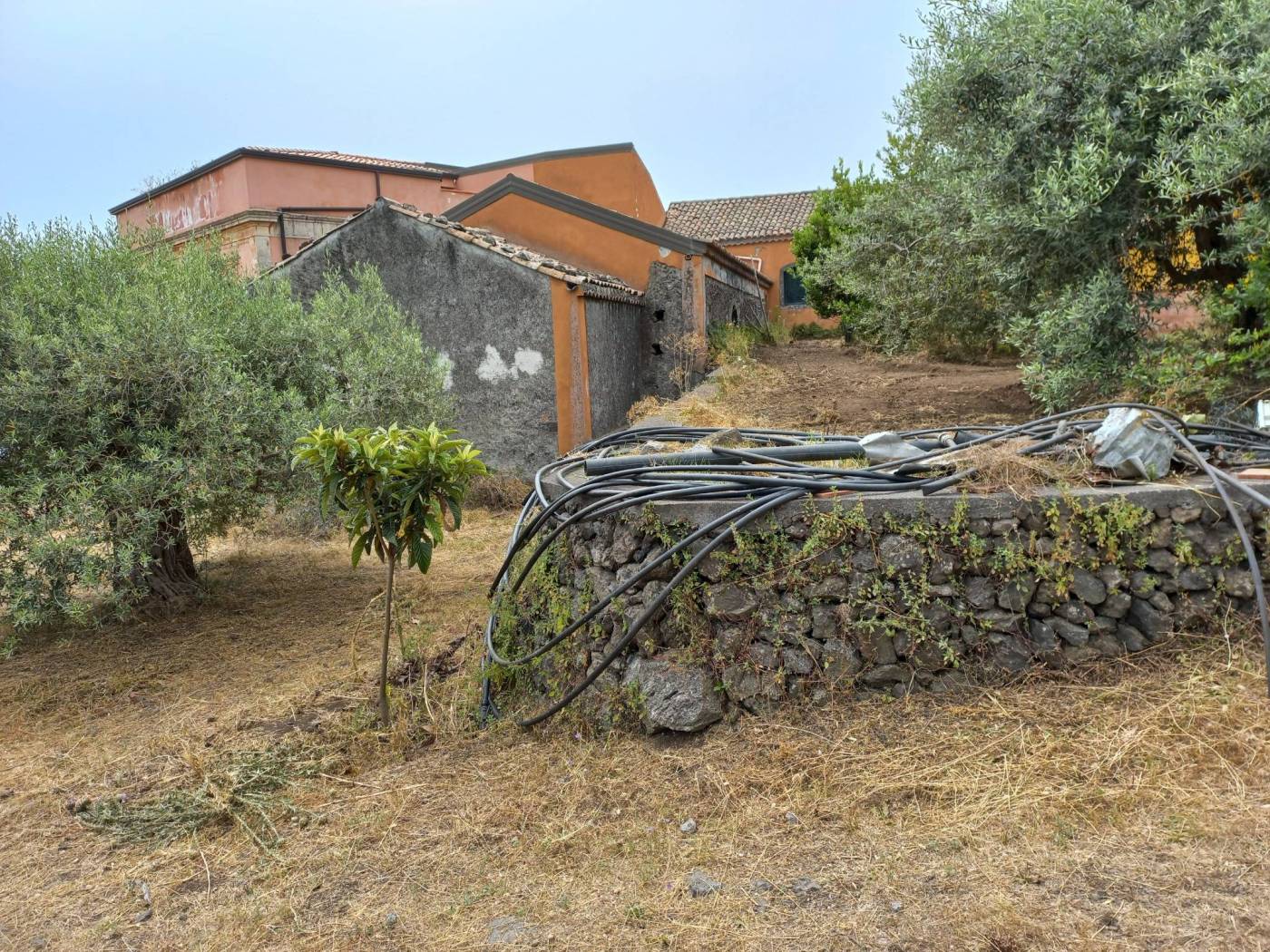 Terreno Terreno