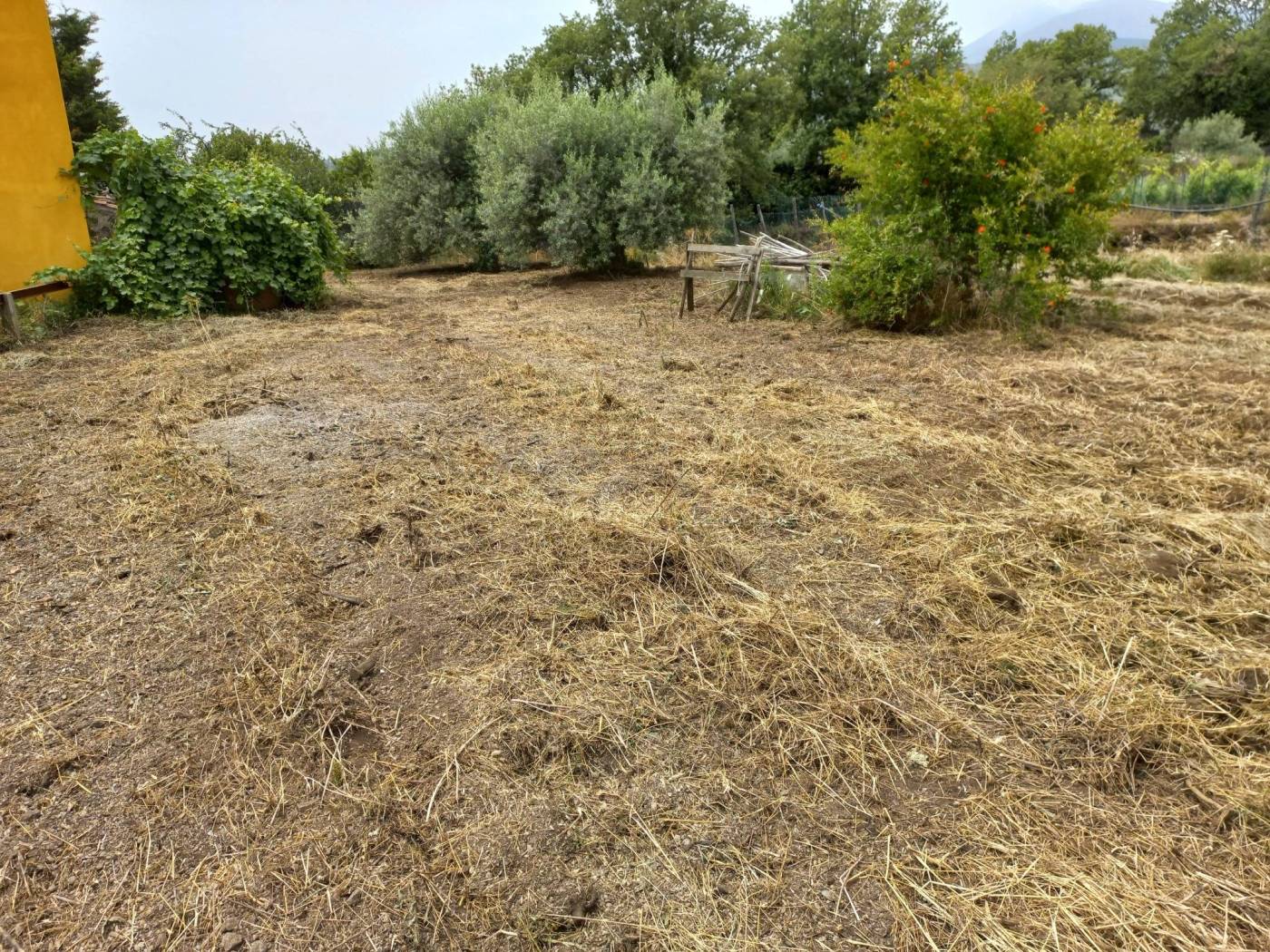 Terreno Terreno