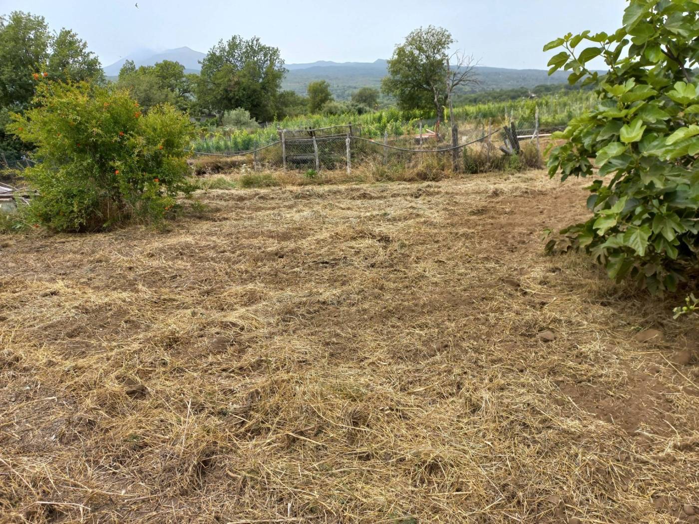 Terreno Terreno