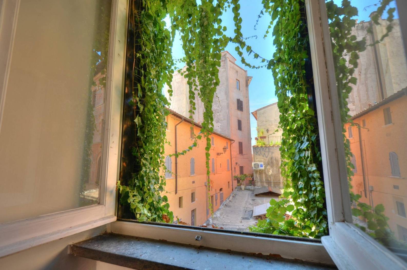 Vista
