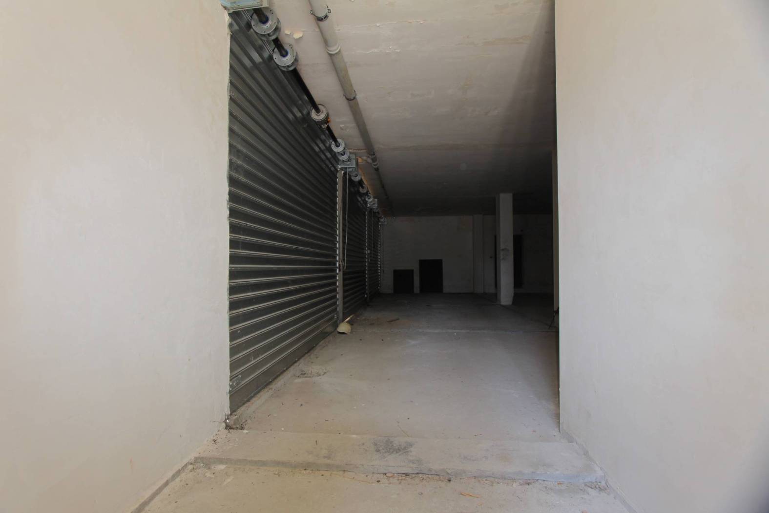 Ingresso