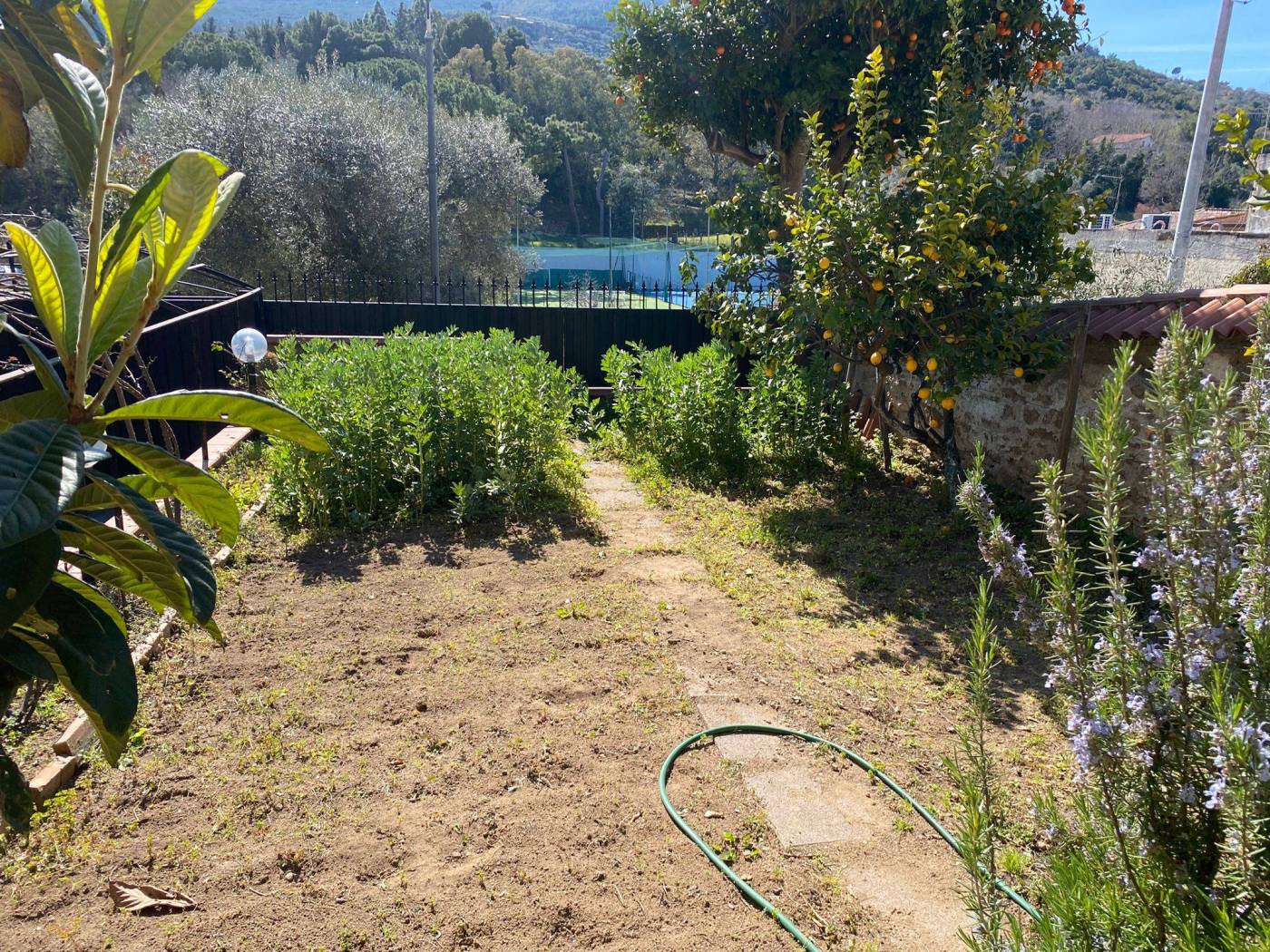 Terreno
