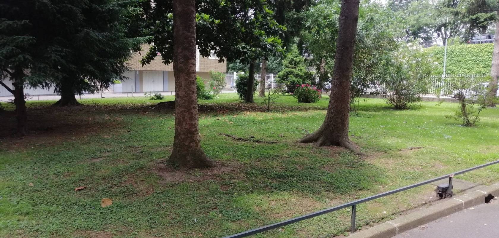 Giardino
