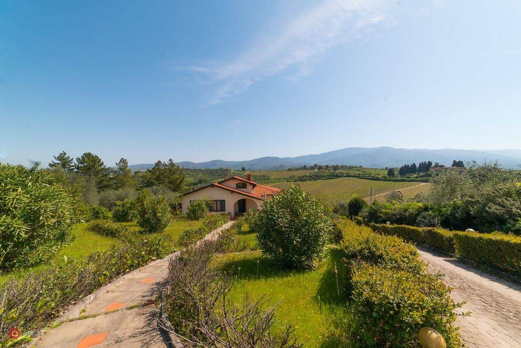 Vista