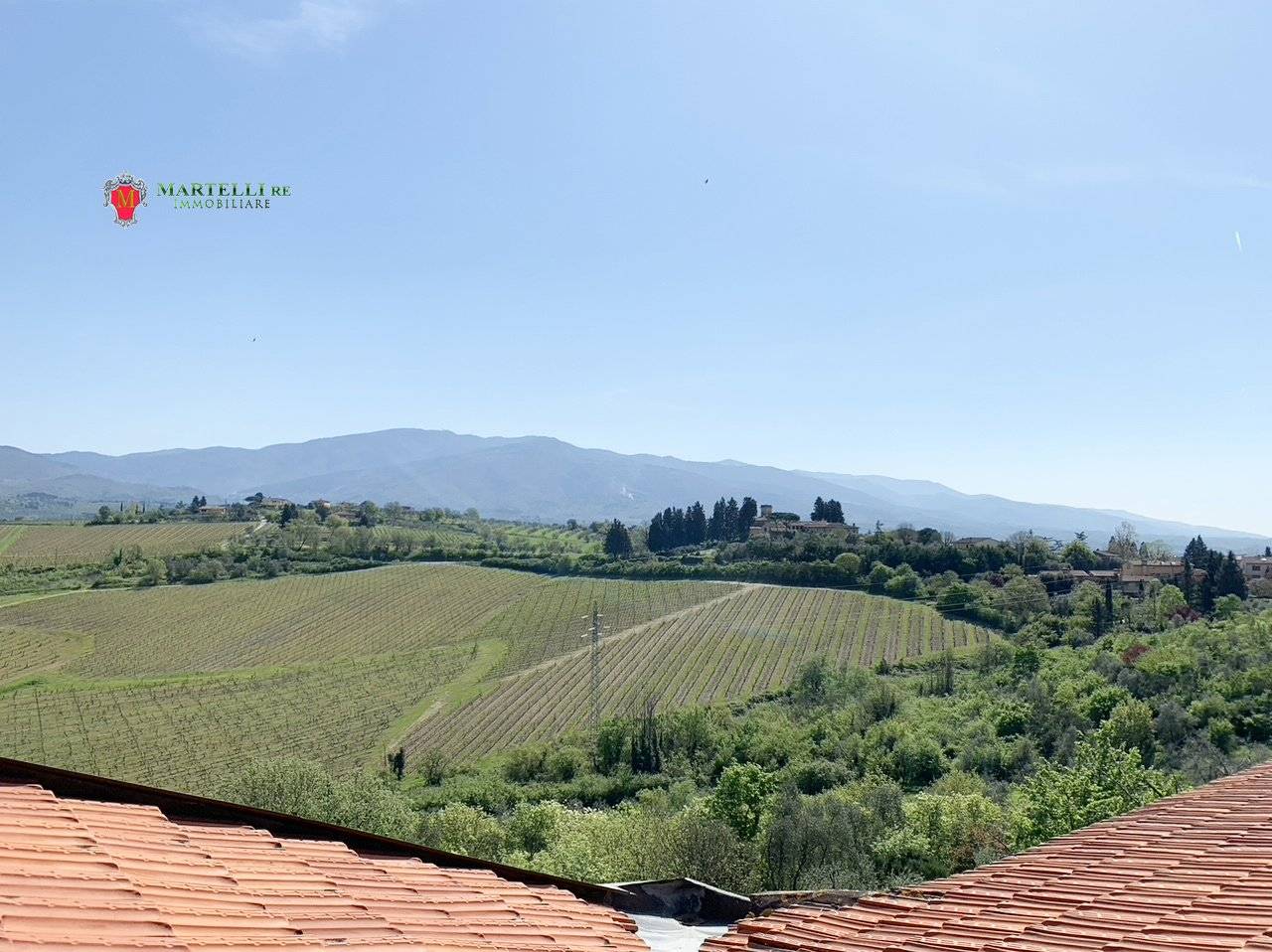 Vista