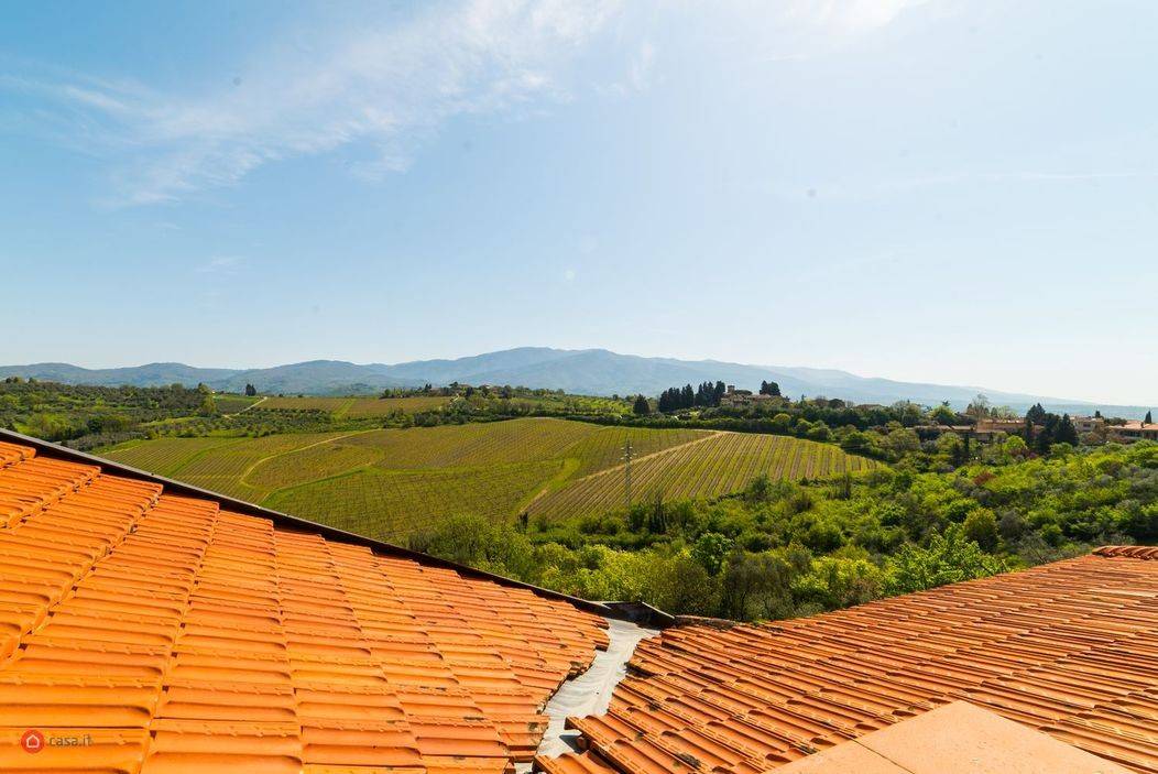 Vista