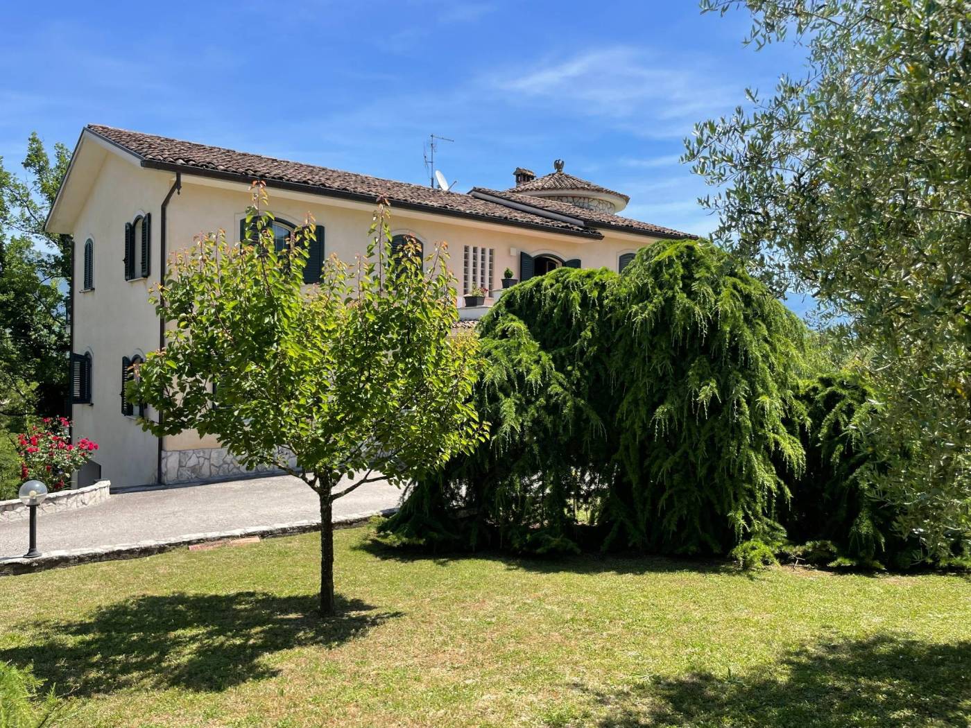 Giardino