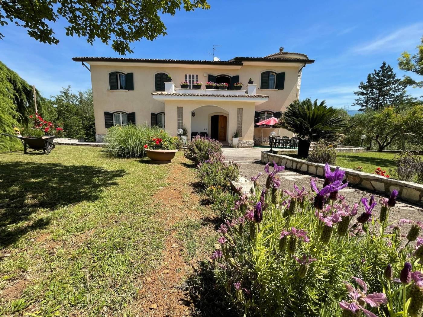 Giardino