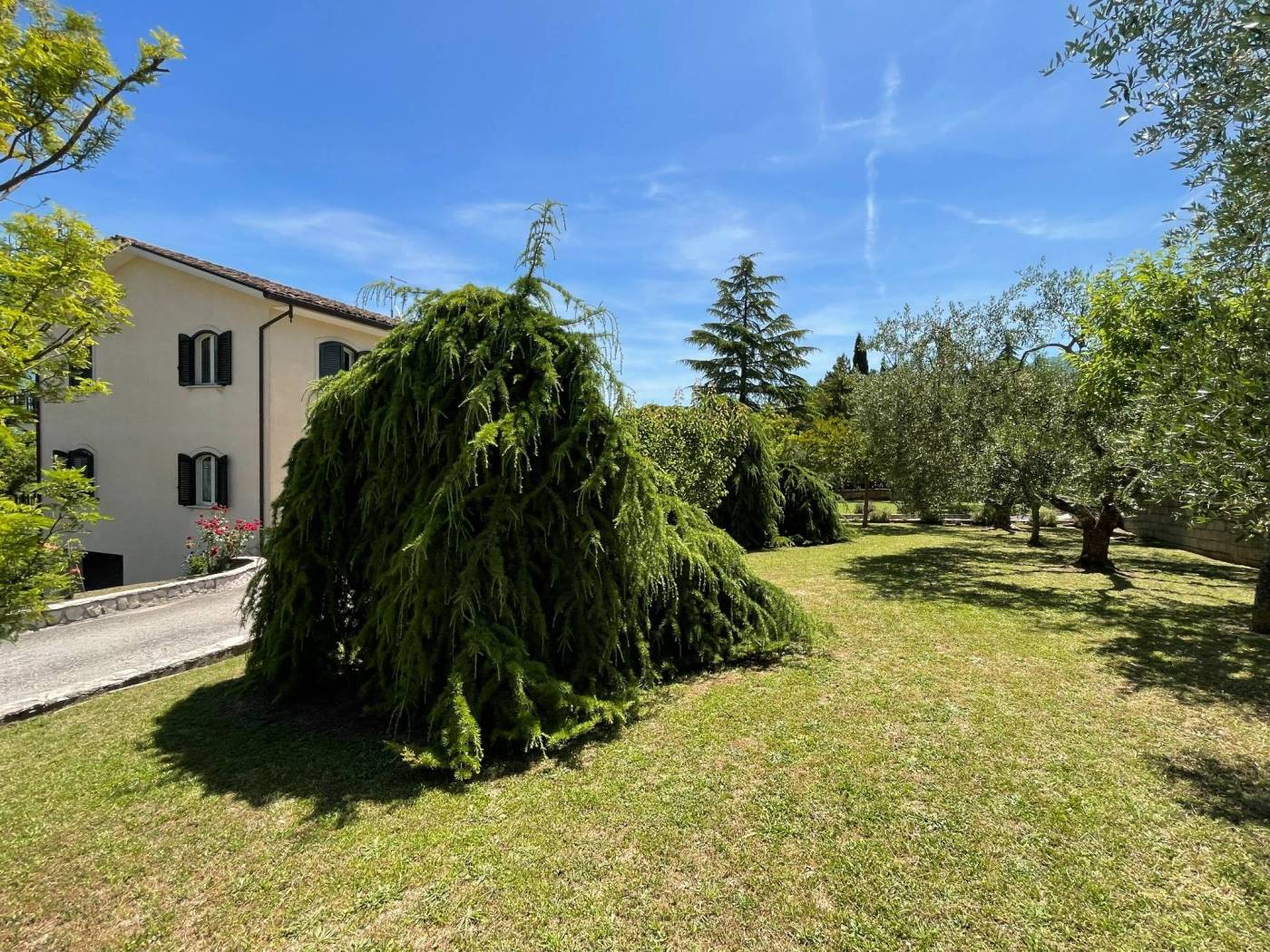 Giardino