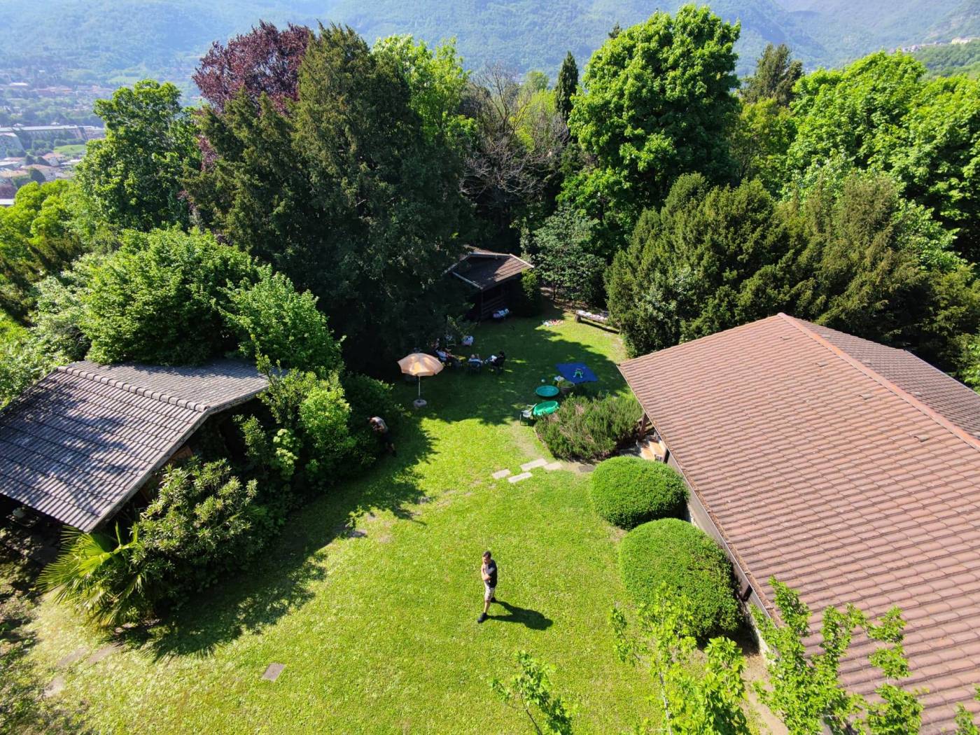 Vista