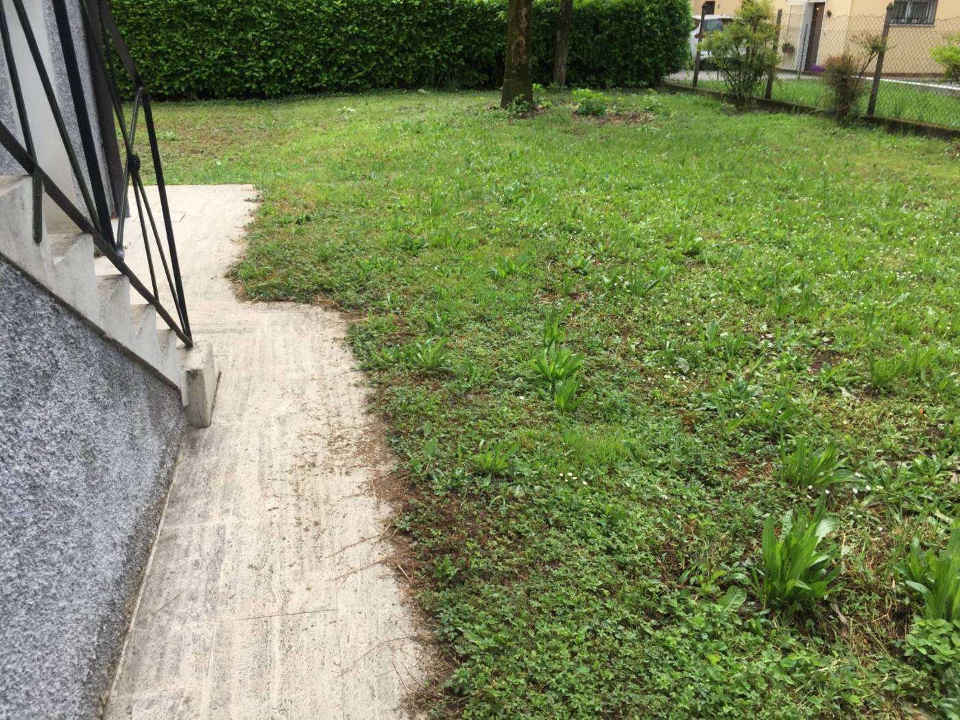 Giardino