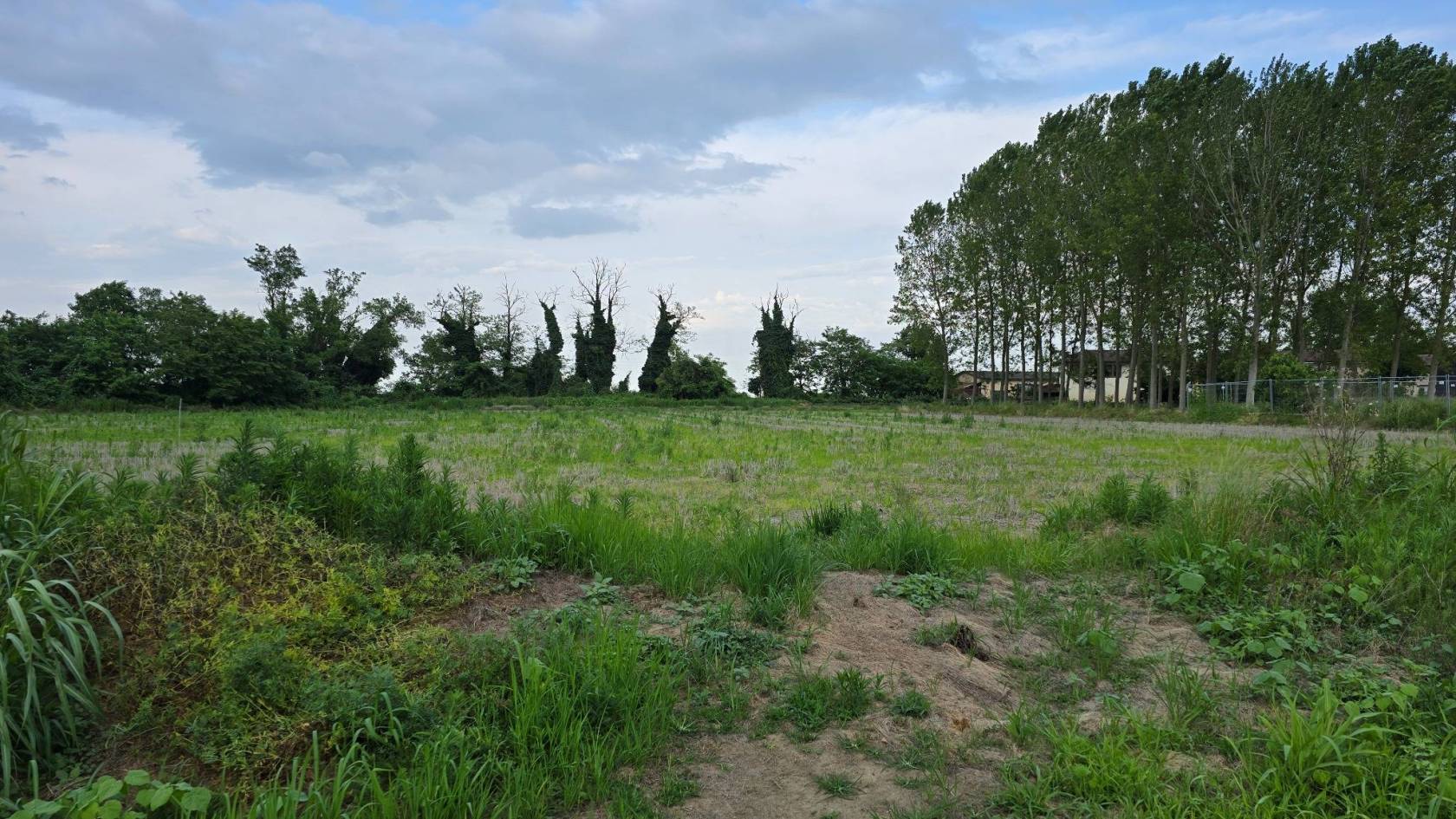 Terreno