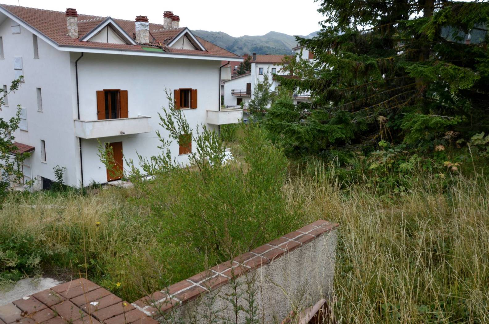 Giardino