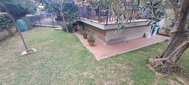 Giardino