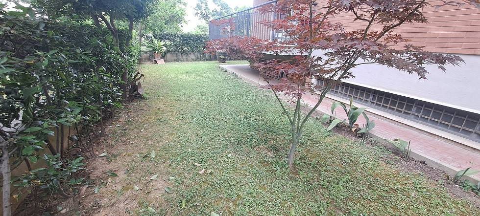 Giardino