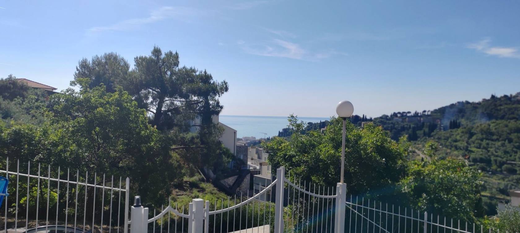 Vista