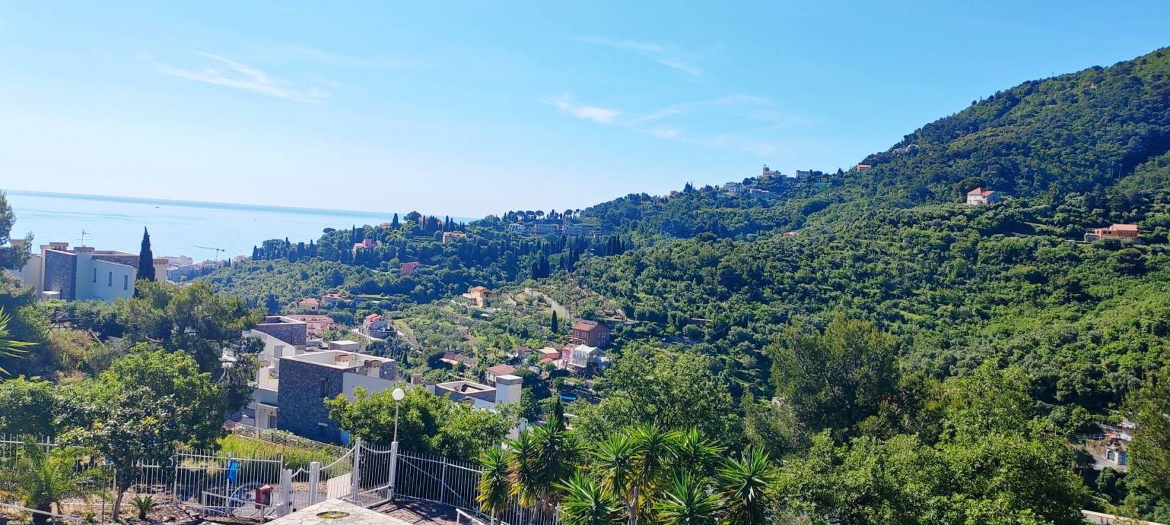 Vista
