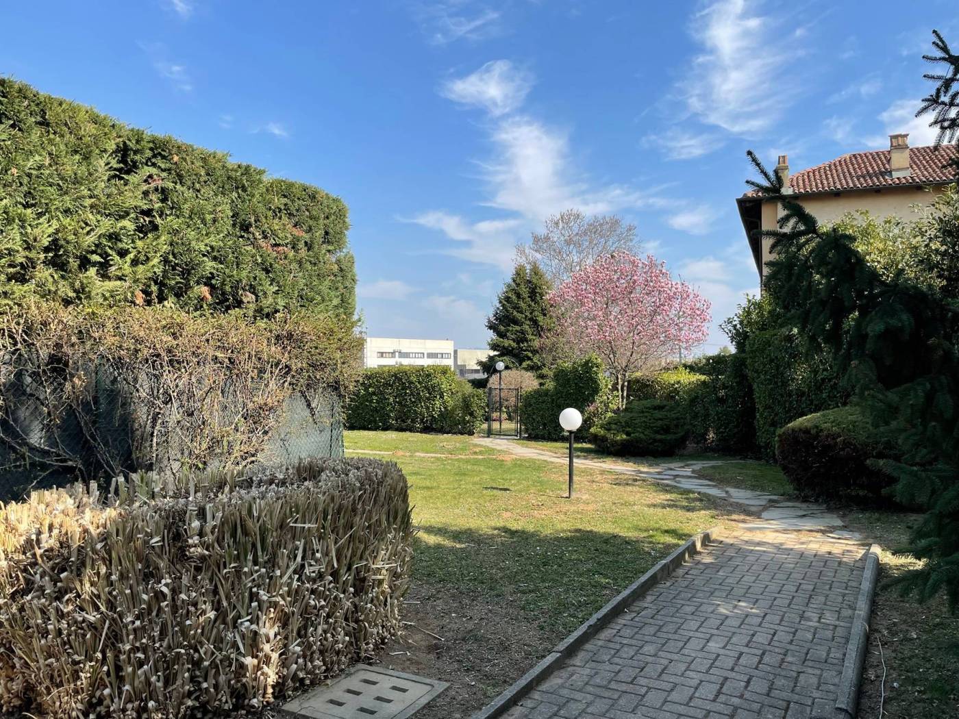 Giardino