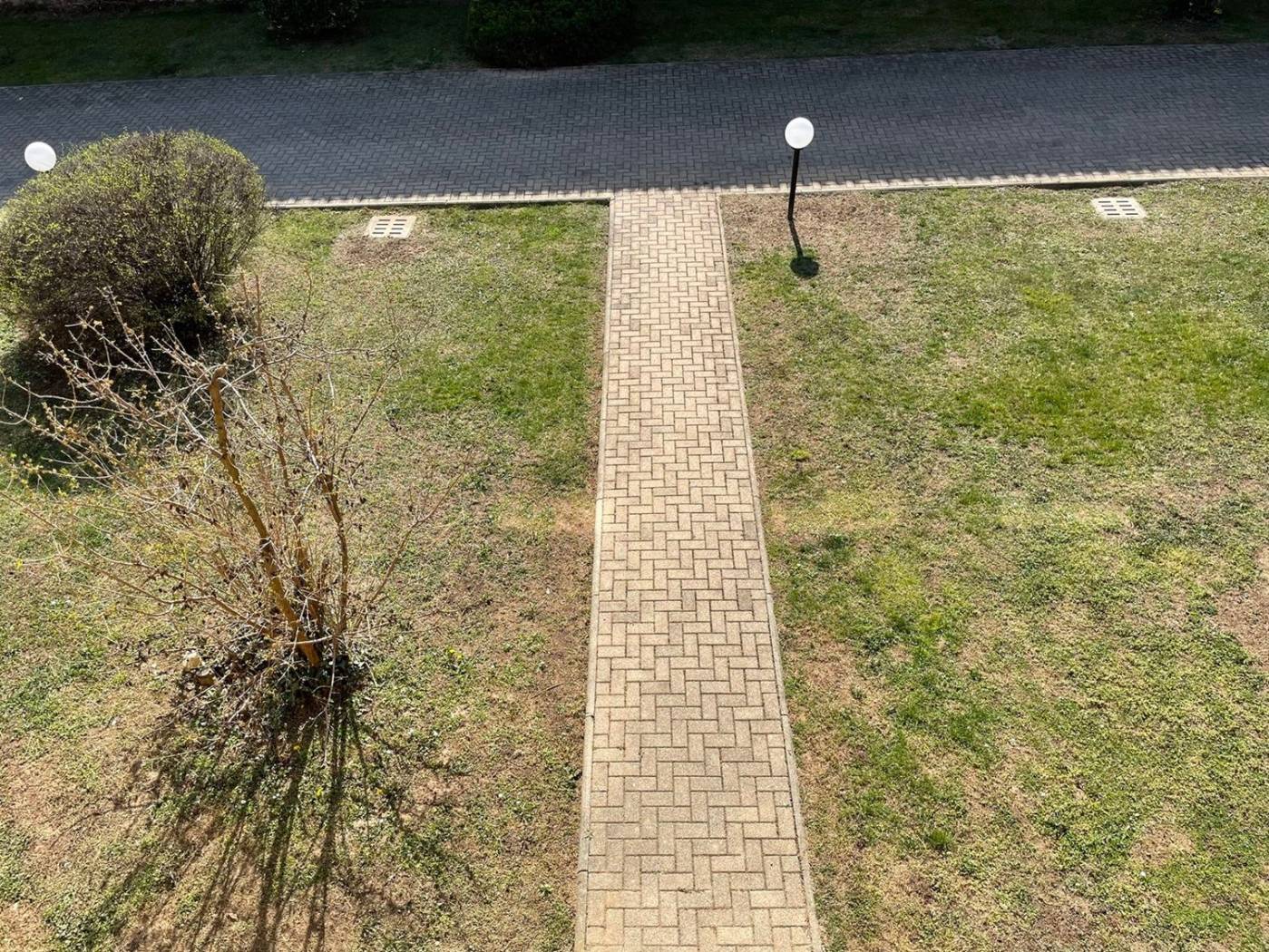 Giardino