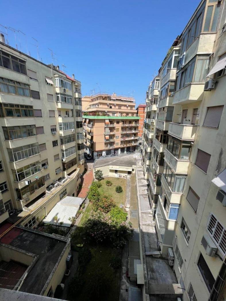 Vista
