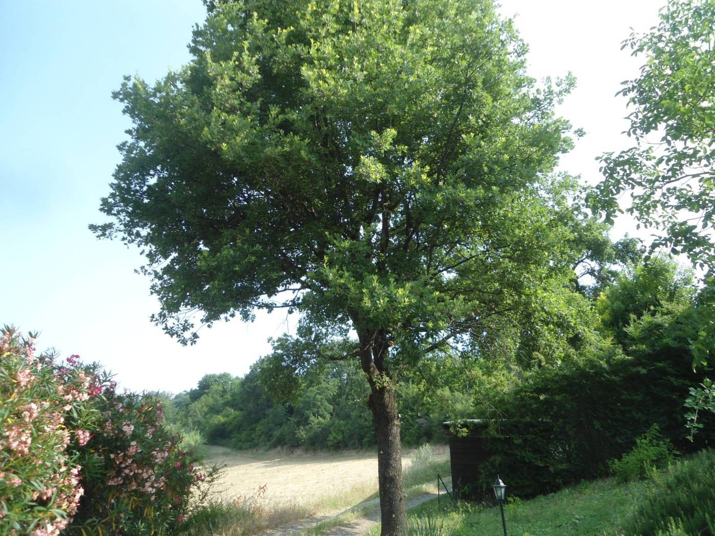 Terreno