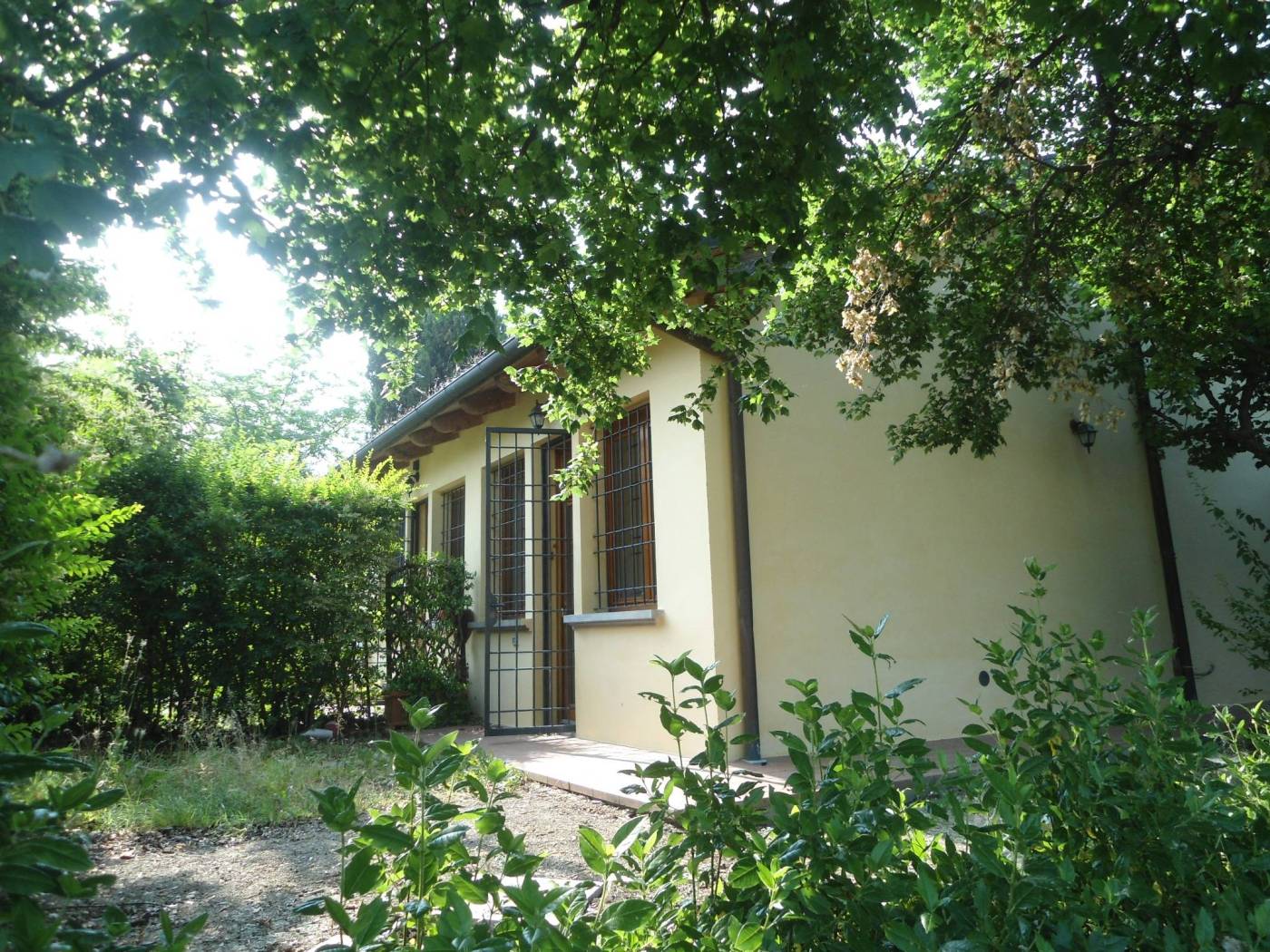 Giardino