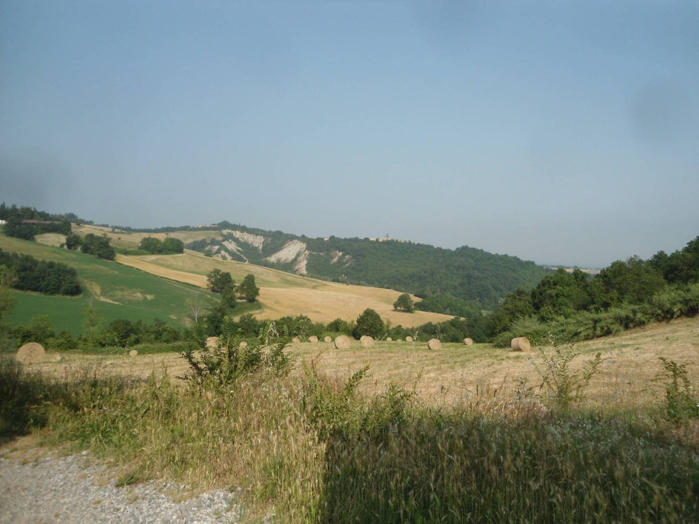 Terreno
