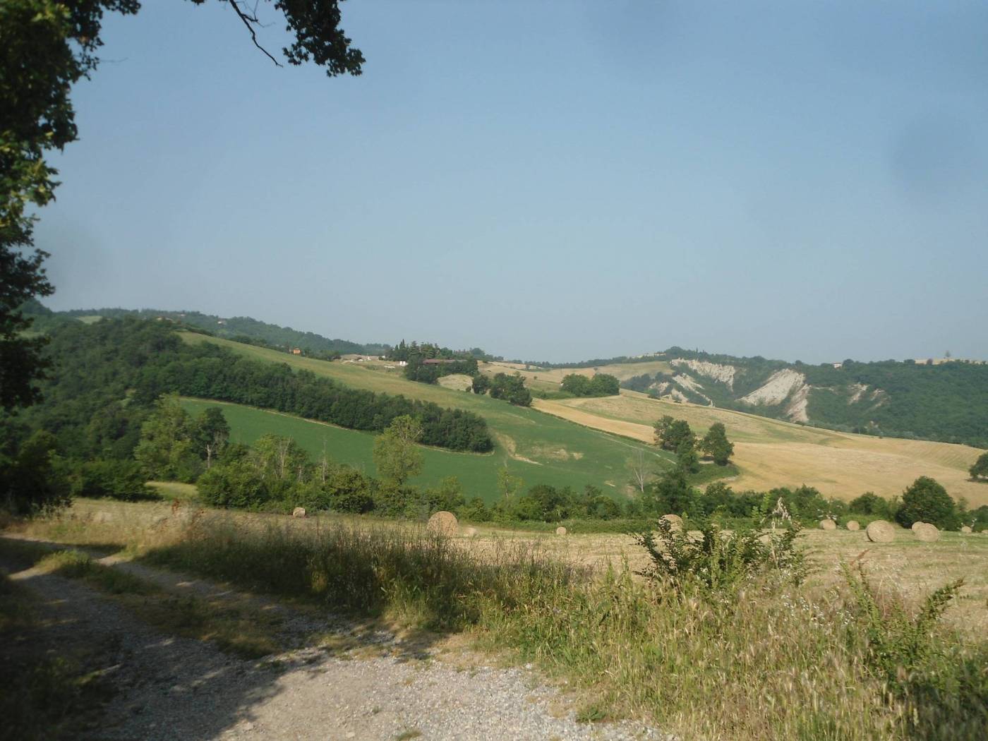 Terreno