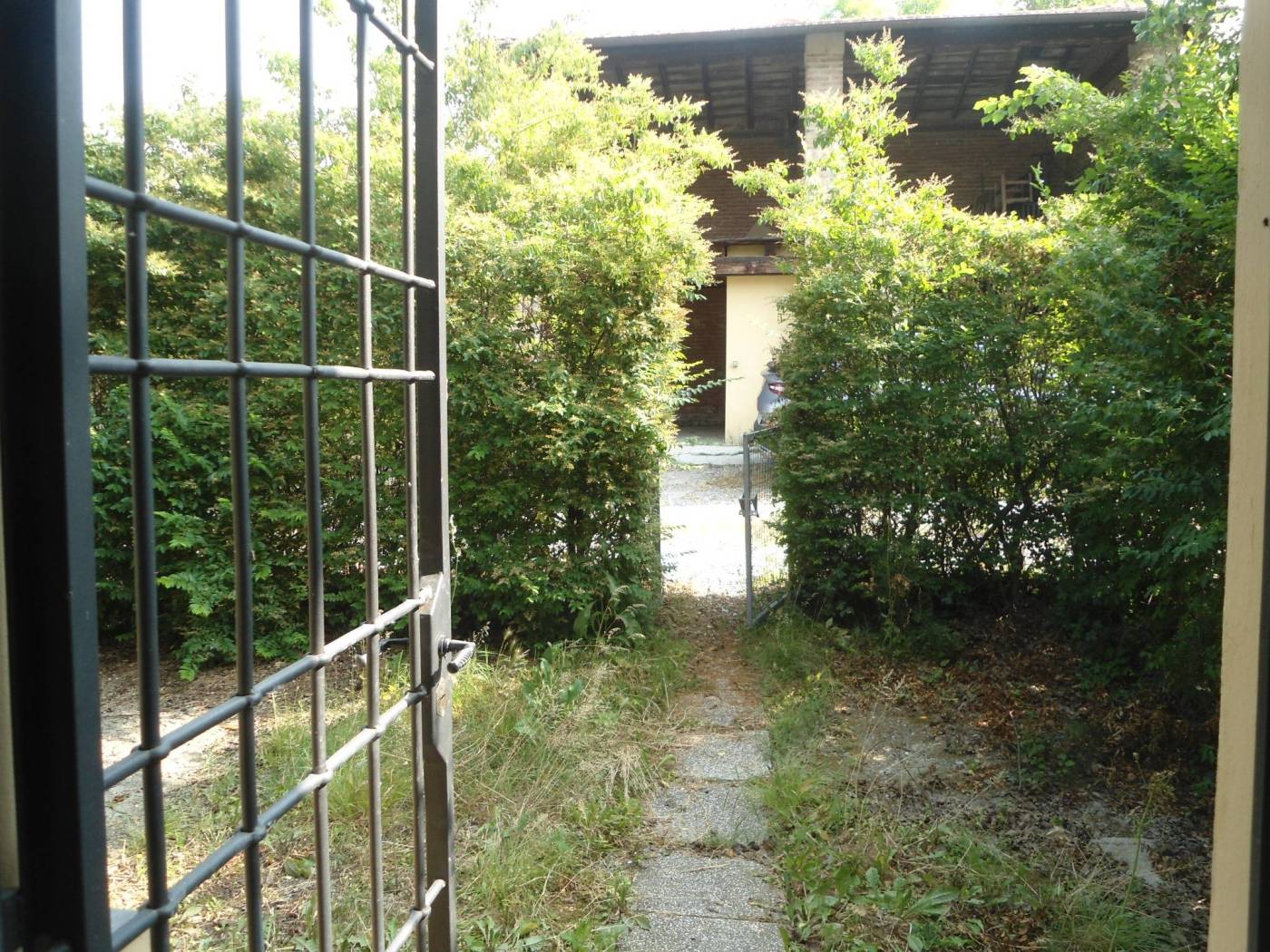 Giardino