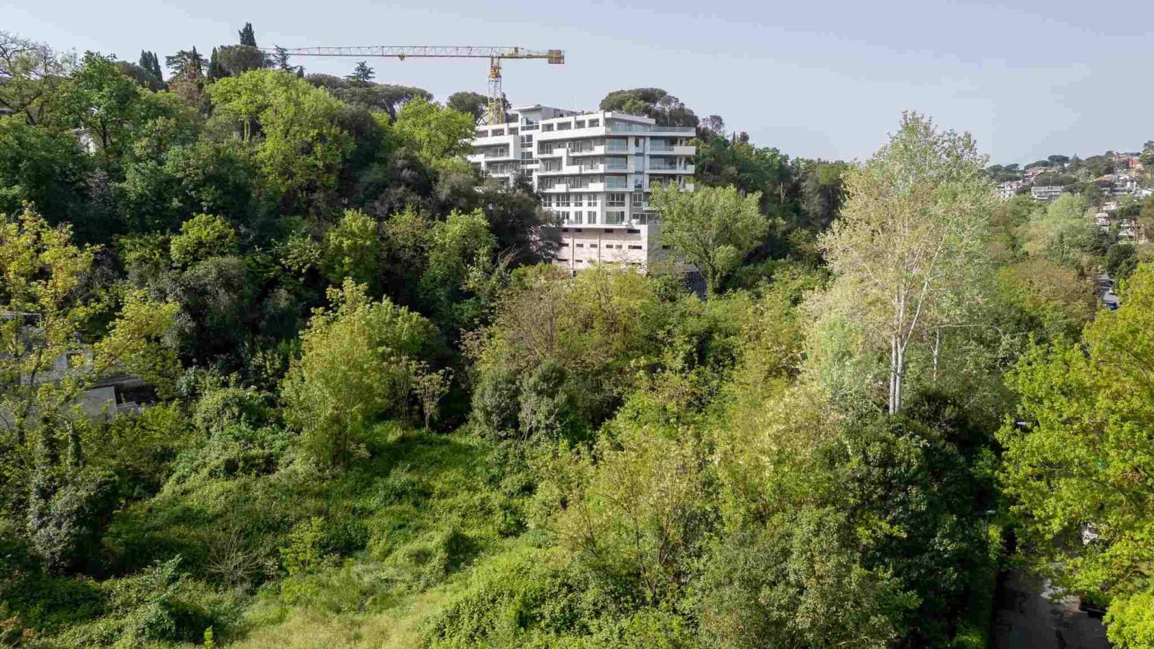 Vista