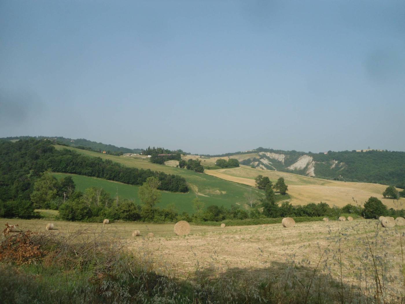 Vista