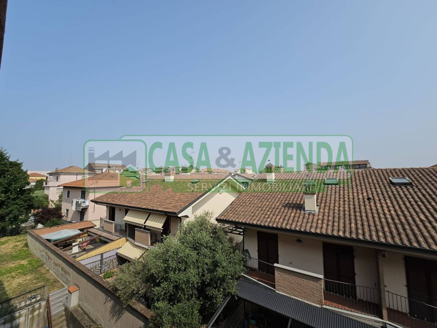 Vista