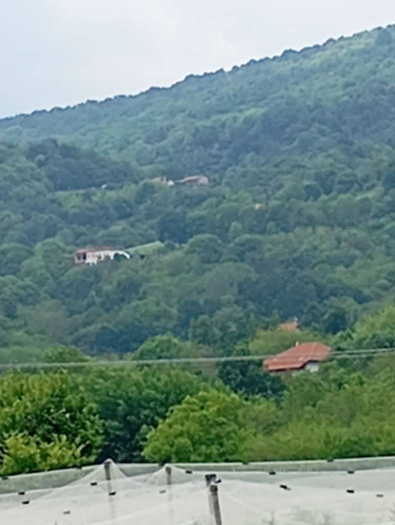 Vista