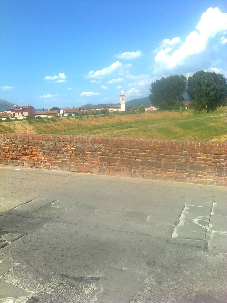 Vista