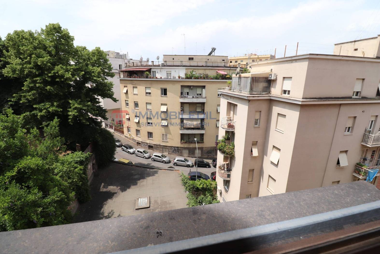 Vista