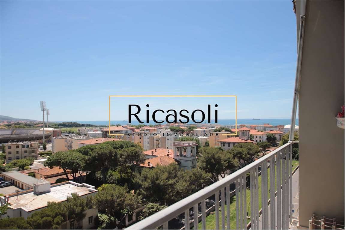 Vista