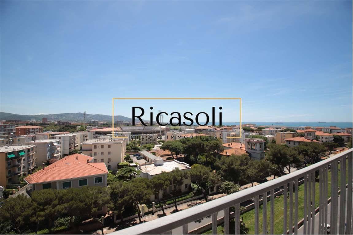 Vista