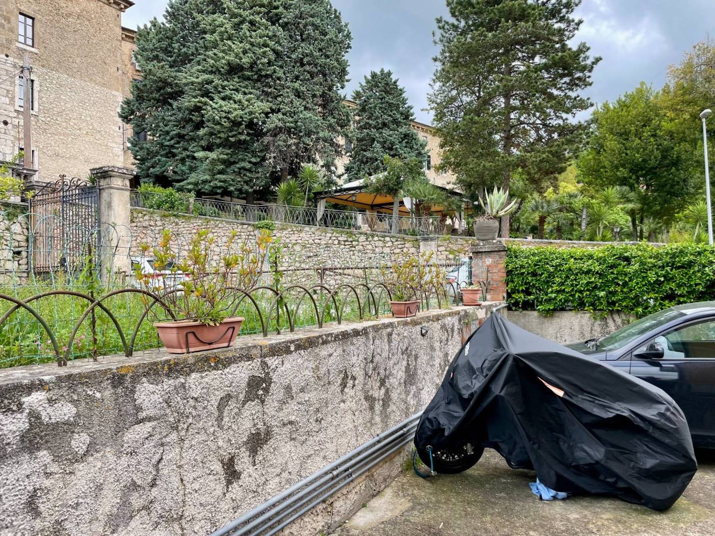 Giardino