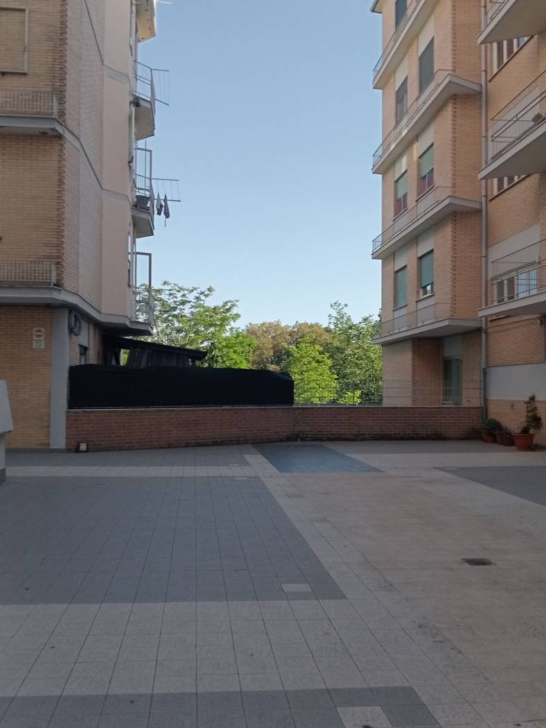 Zona